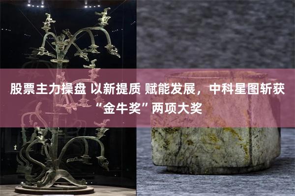 股票主力操盘 以新提质 赋能发展，中科星图斩获“金牛奖”两项