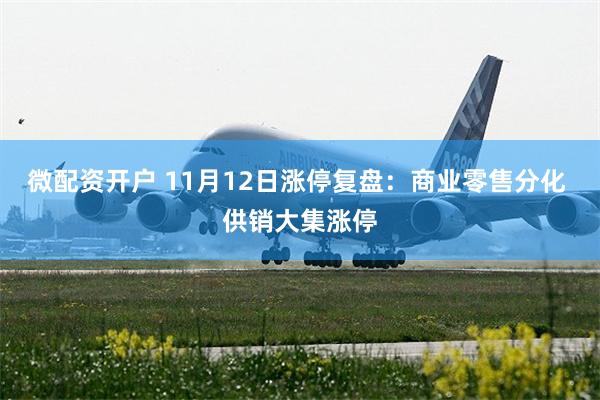 微配资开户 11月12日涨停复盘：商业零售分化 供销大集涨停