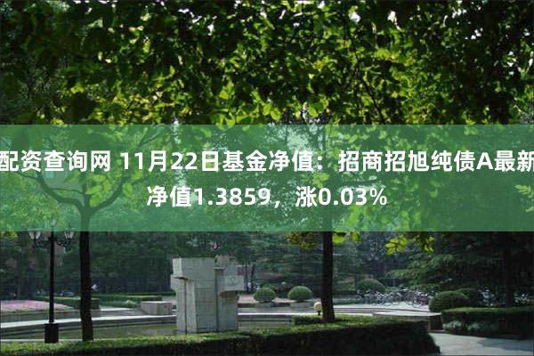 配资查询网 11月22日基金净值：招商招旭纯债A最新净值1.