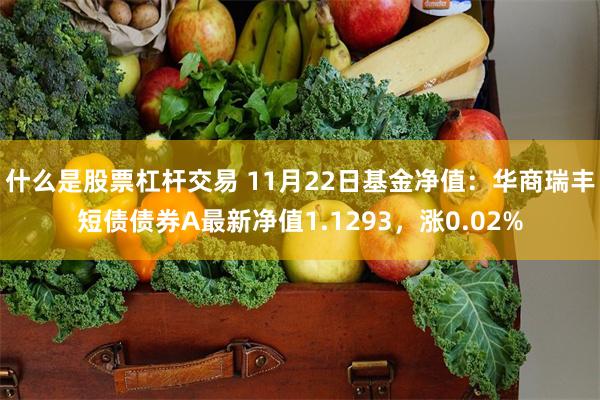 什么是股票杠杆交易 11月22日基金净值：华商瑞丰短债债券A