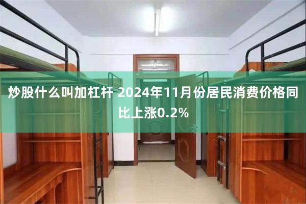 炒股什么叫加杠杆 2024年11月份居民消费价格同比上涨0.