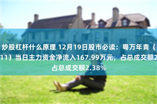 炒股杠杆什么原理 12月19日股市必读：粤万年青（30111